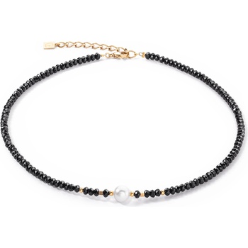 Coeur de lion 1131/10-1314 (1131/10-1314)