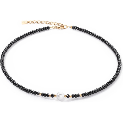 Coeur de lion 1131/10-1314 (1131/10-1314)