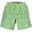 North Sails Мъжки бански north sails, xl, Зелен (673721000_vec007)