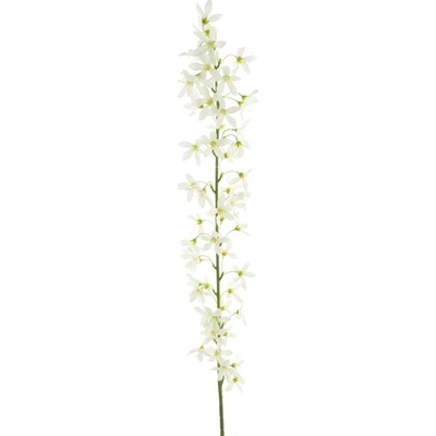 Trojpuk (Deutzia) krémová délka 100 cm