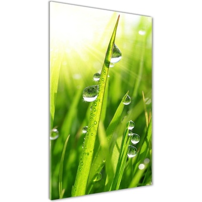 Vertikálny fotoobraz na skle Steblo trávy 50x100 cm