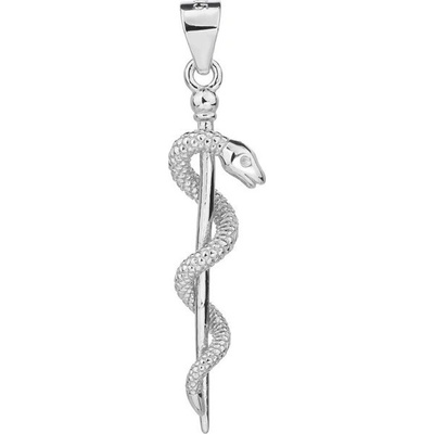 Steel Edge Stříbrný přívěsek Aeskulapova hůl 313228001