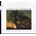 MOUNTAIN GOATS: SUNSET TREE LP
