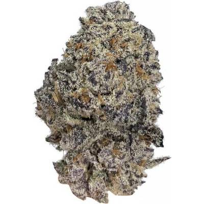 Growers Choice Original Oreoz semena neobsahují THC 5 ks