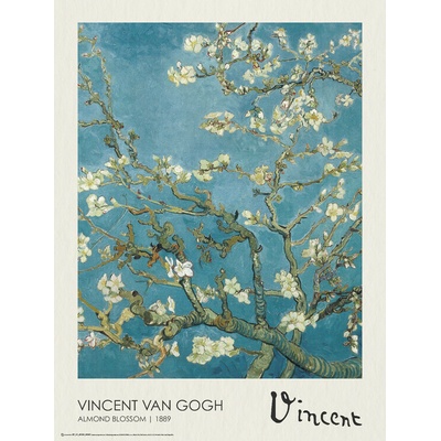 Plagát, Obraz - Almond Blossoms, Vincent van Gogh, 45 × 60 cm