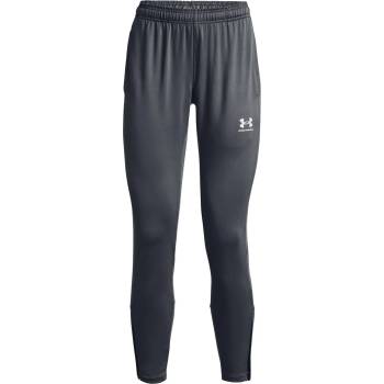 Under Armour Спортни панталони Under Armour Challenger Training Pant - Pitch Grey