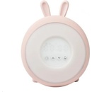 Rabbit & Friends 5073_RUZ