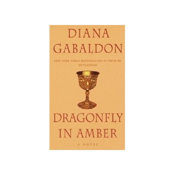 Dragonfly in Amber