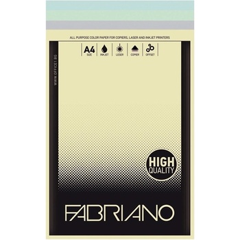 Fabriano Копирен картон Fabriano (1535160040), A4, 160 g/m2, 4 цвята, 100 листа (1535160040)
