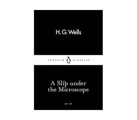 Slip Under the Microscope