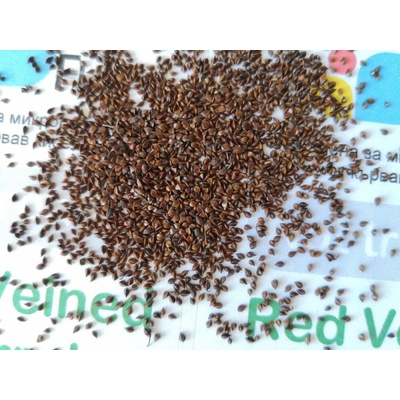 Семена от Кървав киселец (Red Veined Sorrel) 5 гр (8790)