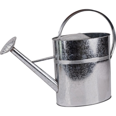 Dema s ružicou pozinkovaná 10 l