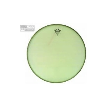 Remo RA-0010-SS