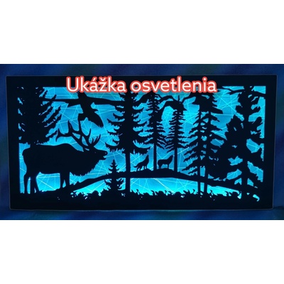 Osvetlený LED obraz na mieru