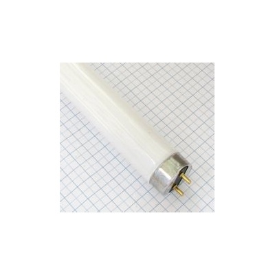 BELLIGHT Žiarivka 36W/865 studená biela 26x1200mm