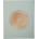 EXACOMPTA Книга за гости, 27x22 cm, 50 страници, EXACOMPTA "Ellipse", зелена 47982E (47982E)