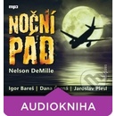 Noční pád