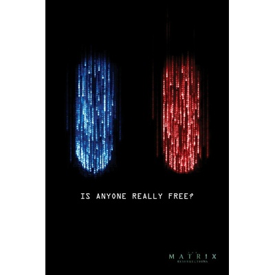 Plagát, Obraz - Matrix - Je niekto naozaj voľný?, 26.7 × 40 cm