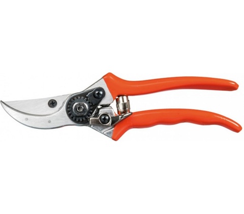 Stocker 21
