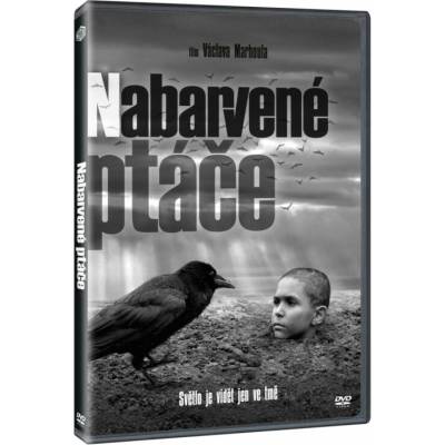 Pomaľované vtáča DVD