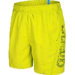 arena Fundamentals arena logo boxer s