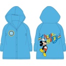 DISNEY Mickey mouse
