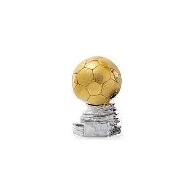 Pohár fotbal PS 22530