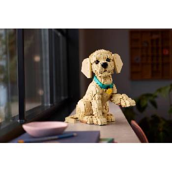 Image 1 of LEGO® ICONS™ - Golden Retriever Puppy (11384)