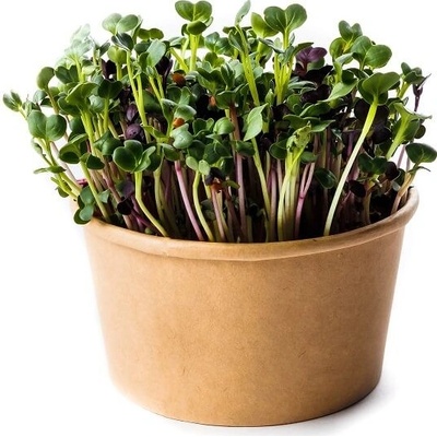 Microgreens MIX semienok - sada na pestovanie