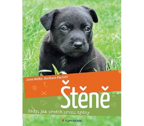 Štěně