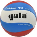 Volejbalové míče Gala Training 10 BV 5561 S