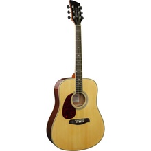 Brunswick Dreadnought BDL200