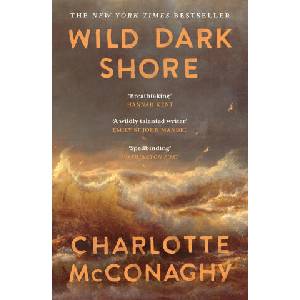 Wild Dark Shore (ISBN: 9781837265923)