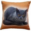 Dadka Fotovankúš Mačka 40x40