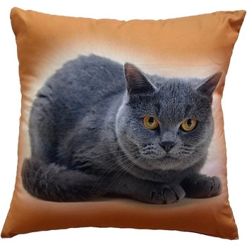 Dadka Fotovankúš Mačka 40x40