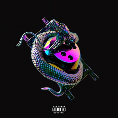 Snakes & Ladders - Chip CD
