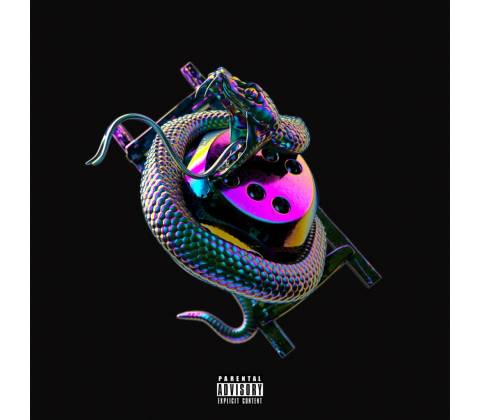 Snakes & Ladders - Chip CD