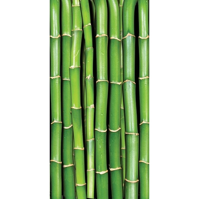 Dimex S-136 vliesová fototapeta na zeď Bamboous rozměry 110 x 220 cm