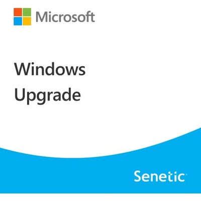 Microsoft Windows 11 Pro Upgrade (DG7GMGF0D8H4-0004)