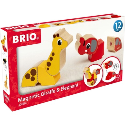 Brio smiešny jazdiaci medveď
