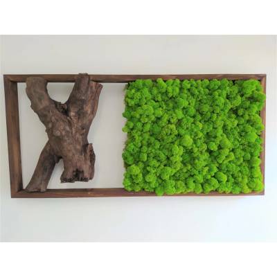 Mechový obraz s exkluzivním dřevem 40cm x 85cm
