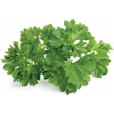Semena Petržel 50 g