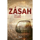 Zásah