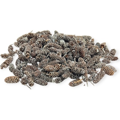 Sušené šišky Jelše 2-4cm mix 110g - zabielené
