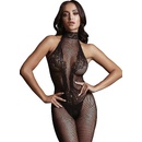 Fishnet and Lace Bodystocking