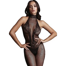Fishnet and Lace Bodystocking