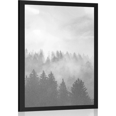 Plakát mlha nad lesem v černobílém provedení - 20x30 black
