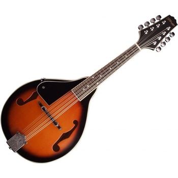 Stagg M20