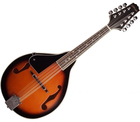 Stagg M20