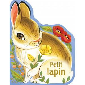 Petit lapin (ISBN: 9782897519193)